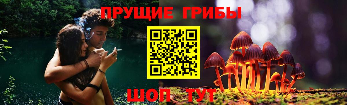 Галлюциногенные грибы Psilocybe  Вход с VPN  Янаул 
